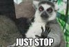 Just Stop.jpg