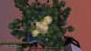 Jungle.jpeg