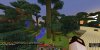 Jungle island.jpeg