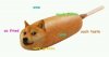 CORN DOGE.jpg