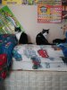 20190126_093924.jpg