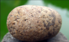 upload_2019-3-30_18-29-28.png
