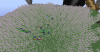 2019-04-29_15.34.50.png