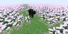 unknown.png