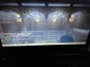 upload_2019-7-26_15-34-24.jpeg