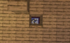 2020-02-24_02.17.02.png