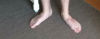 Capture.PNG