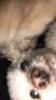 D4E39194-3E7B-475A-92B8-DFBC31E59CC6.jpeg