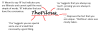 Thepilous annotation.png