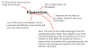 Eleanora annotation.png