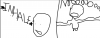 Screen Shot 2021-03-04 at 3.27.43 PM.png