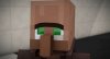 stop villager hate.jpg