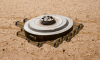 dynamite weaponised (1).png