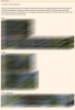 photo.png