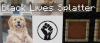 upload_2022-7-21_13-44-41.png