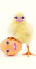 upload_2022-8-19_22-37-30.png