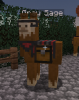 GRAYSAGE.png
