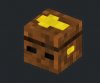 coffinhead1.JPG