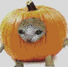upload_2023-12-2_18-20-44.png