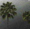 upload_2024-1-1_19-29-12.png