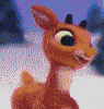 upload_2024-1-1_19-37-4.png