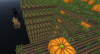 upload_2024-2-19_20-18-58.png