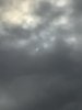 IMG_5132.jpeg