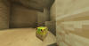 DP Head 2.png