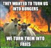 CowFire.jpeg