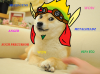doge_and_daxter_by_dafunb0xman-d6udssc.png