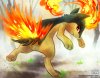 quilava_by_haychel-d6is5we.jpg