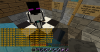 oodwilyum123 - Griefing.png