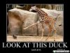 Funny picture.jpg