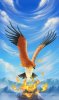 talonflame_by_shadeofshinon-d68x0ru.jpg