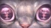 espurr2_by_rajewel-d71gwe9.jpg