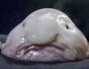 upload_2014-3-5_19-55-7.jpeg