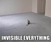 aaaaa.jpg