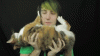 Mattg124 JoJo.gif