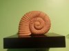 IRLHelix.jpg