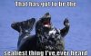 funny-puns-bacon-wrapped-media-22.jpg