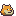 Doge.jpg