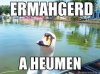 images-1.jpeg