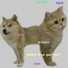 Better Dige and Cat.jpg