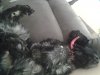 20140125_113714.jpg