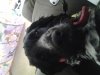 20140206_170224.jpg