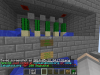 Catus.png