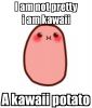 i-am-not-pretty-i-am-kawaii-a-kawaii-potato.png