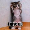 giveup.jpg