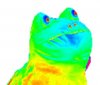 image.jpg