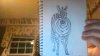 Zebra!.jpg